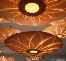 Collection of lotus lamps in tulip wood